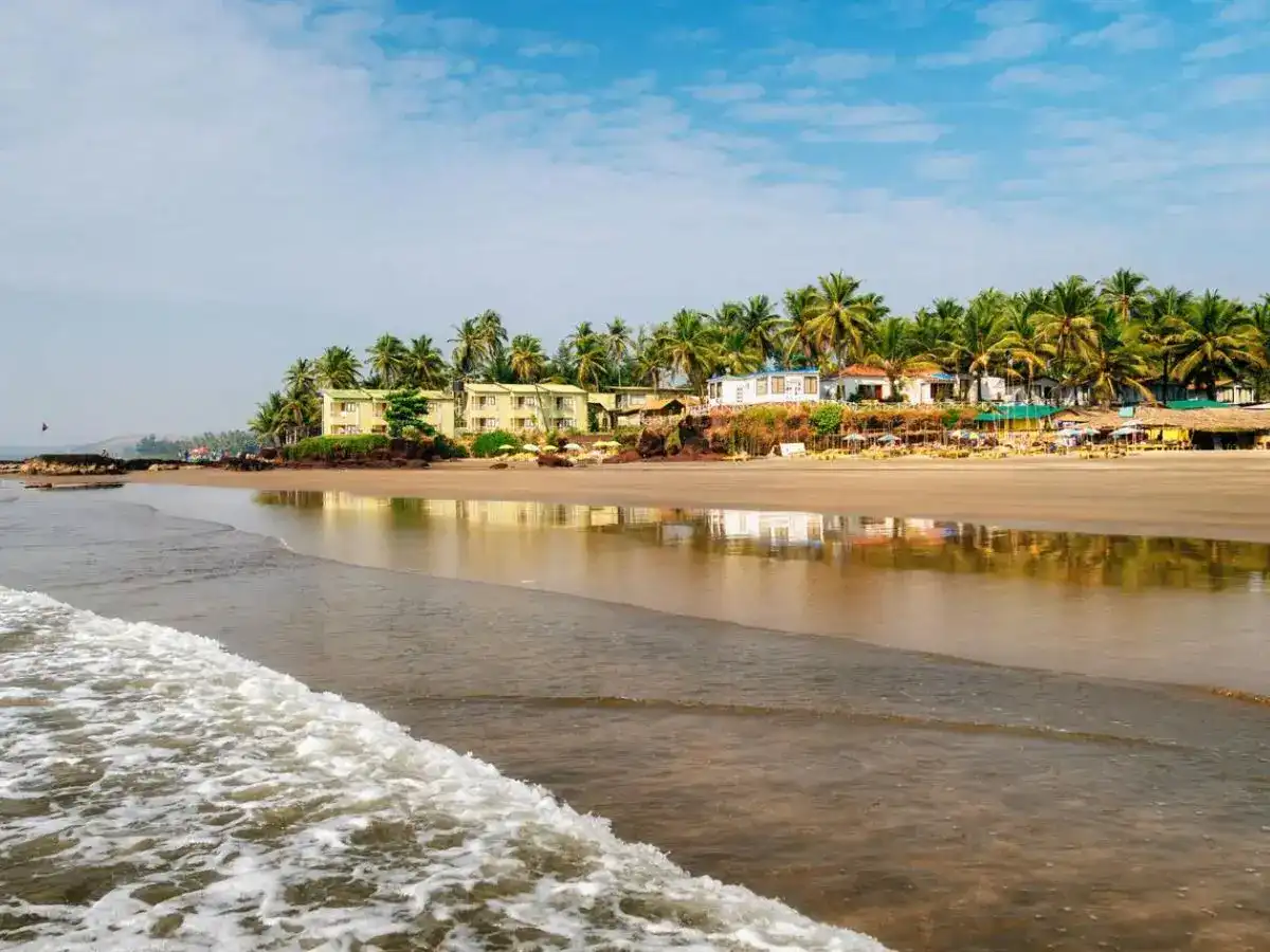mandrem beach north goa