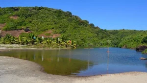 Sweet water lake near Arambol beach North Goa